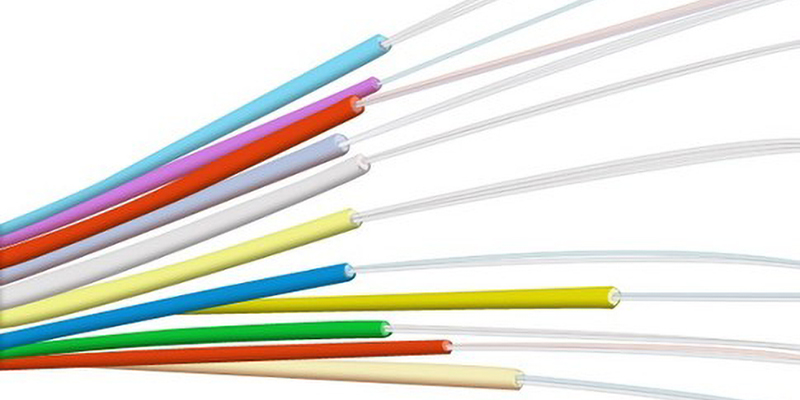 138024102_15565882518431n